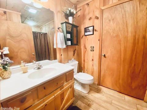 467 Ruddells Rd, Mountain View, AR 72560 photo 26