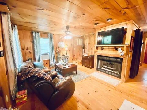 467 Ruddells Rd, Mountain View, AR 72560 photo 3