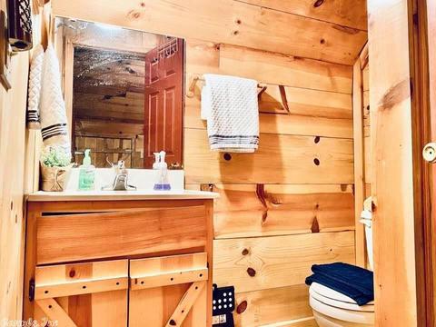467 Ruddells Rd, Mountain View, AR 72560 photo 12
