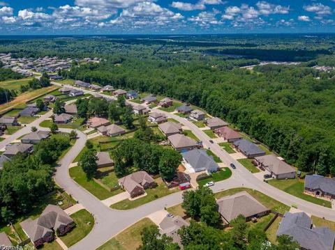 1095 Skyline, Alexander, AR 72002 photo 19