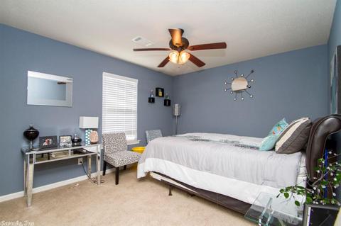 1095 Skyline, Alexander, AR 72002 photo 13