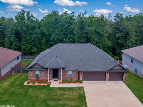 1095 Skyline, Alexander, AR 72002 photo 20