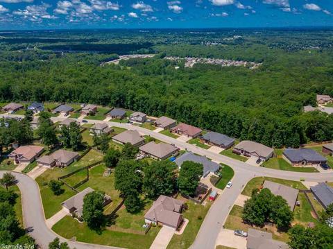 1095 Skyline, Alexander, AR 72002 photo 2