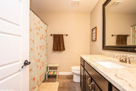 8311 Sapphire Dr, Alexander, AR 72002 photo 25