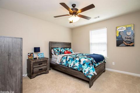 8311 Sapphire Dr, Alexander, AR 72002 photo 26
