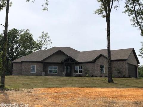 10009 Sanibel Loop, Alexander, AR 72002 photo 1