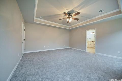17 Chesapeake Dr, Austin, AR 72007 photo 23