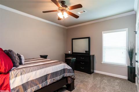 6040 Kamden Cv, Alexander, AR 72002 photo 28