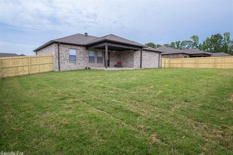 20 Chesapeake Dr, Austin, AR 72007 photo 39