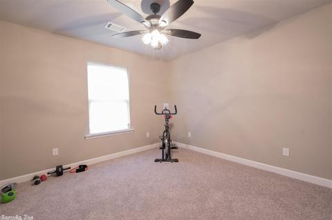 20 Chesapeake Dr, Austin, AR 72007 photo 25