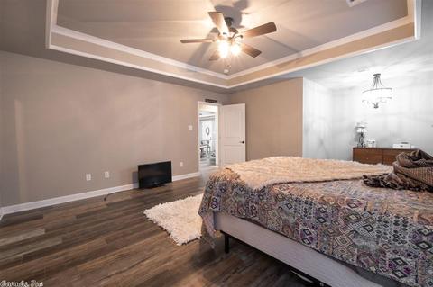 20 Chesapeake Dr, Austin, AR 72007 photo 16