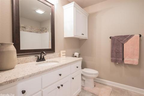 20 Chesapeake Dr, Austin, AR 72007 photo 27
