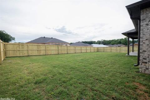 20 Chesapeake Dr, Austin, AR 72007 photo 36