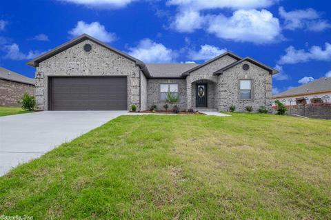 20 Chesapeake Dr, Austin, AR 72007 photo 1