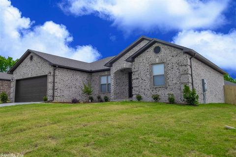 20 Chesapeake Dr, Austin, AR 72007 photo 2
