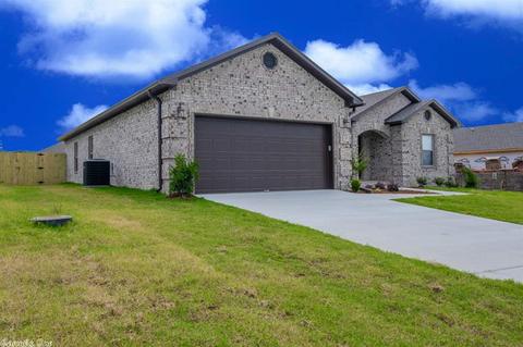 20 Chesapeake Dr, Austin, AR 72007 photo 3