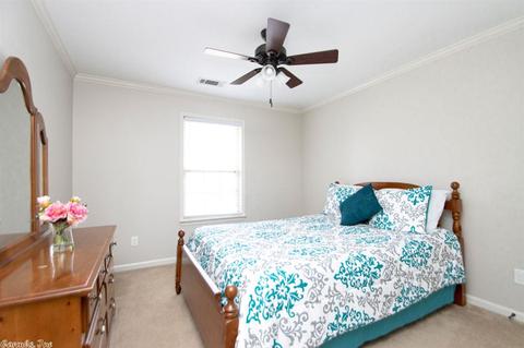 314 Merril Dr, Benton, AR 72015 photo 25