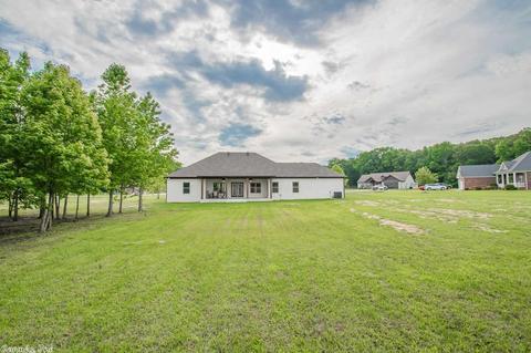 390 Sandy Crk, Ward, AR 72176 photo 34