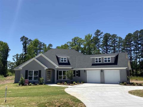 10129 Sanibel Loop, Alexander, AR 72002 photo 2