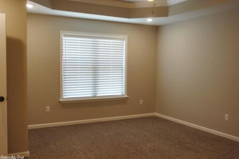 111 E Hills Dr, Bono, AR 72416 photo 9