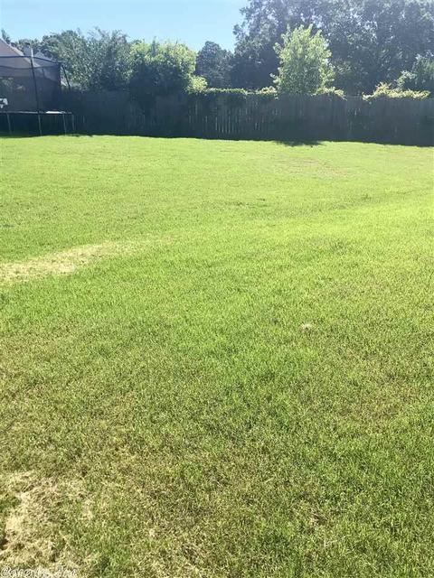 2500 Daisy Cv, Bryant, AR 72022 photo 29