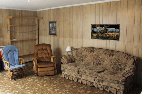 1235 E Circle Acres Rd, Shirley, AR 72153 photo 11