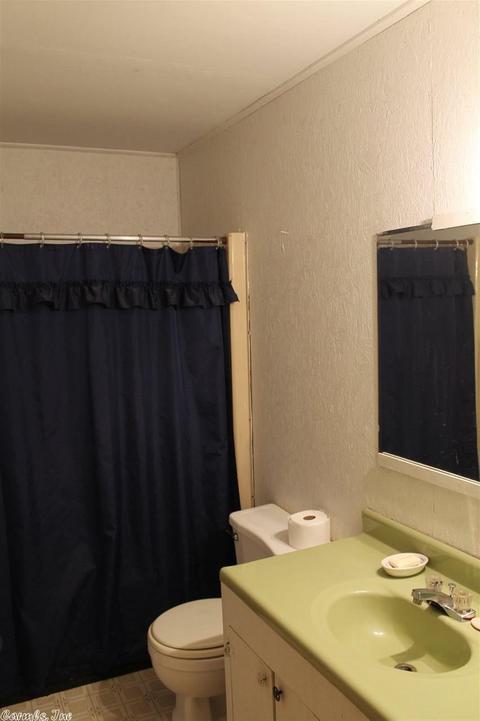 1235 E Circle Acres Rd, Shirley, AR 72153 photo 12