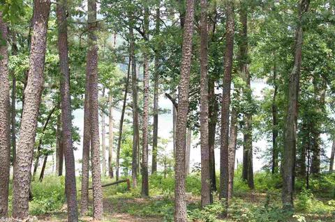 1235 E Circle Acres Rd, Shirley, AR 72153 photo 3