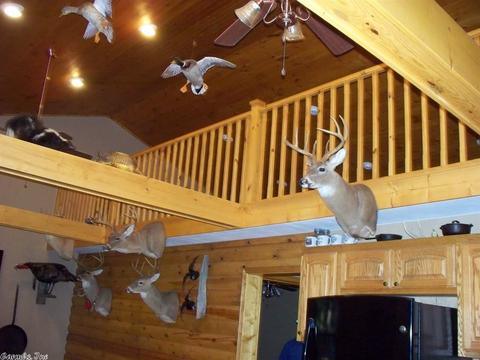 8390 Hwy 110, Clinton, AR 72031 photo 10