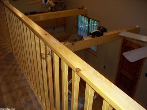 8390 Hwy 110, Clinton, AR 72031 photo 20