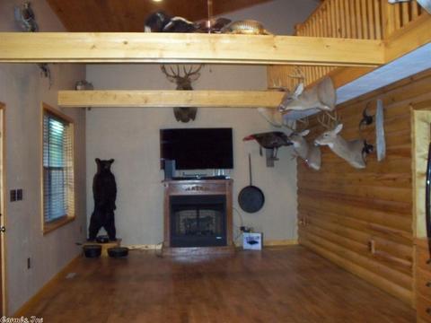 8390 Hwy 110, Clinton, AR 72031 photo 9