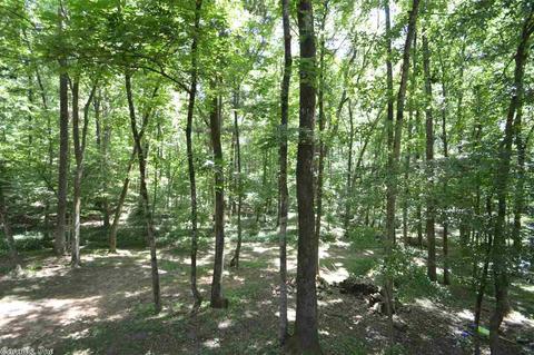 2325 Chivers St, Benton, AR 72019 photo 18