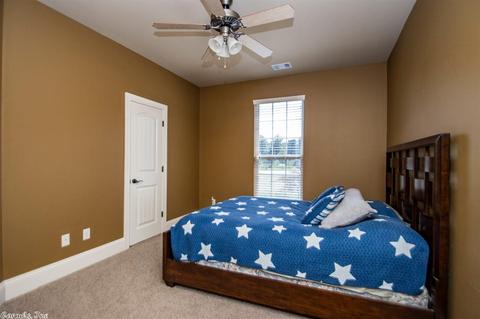10070 Rhinestone, Alexander, AR 72002 photo 22