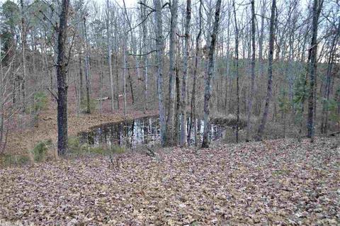 7775 Black Hill Rd, Bee Branch, AR 72013 photo 32