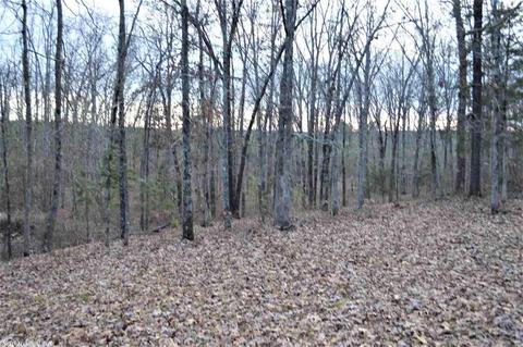 7775 Black Hill Rd, Bee Branch, AR 72013 photo 33