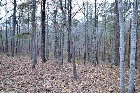 7775 Black Hill Rd, Bee Branch, AR 72013 photo 31