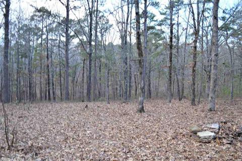 7775 Black Hill Rd, Bee Branch, AR 72013 photo 30