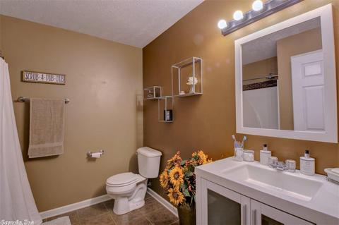 23 Shamsie Dr, Ward, AR 72176 photo 34