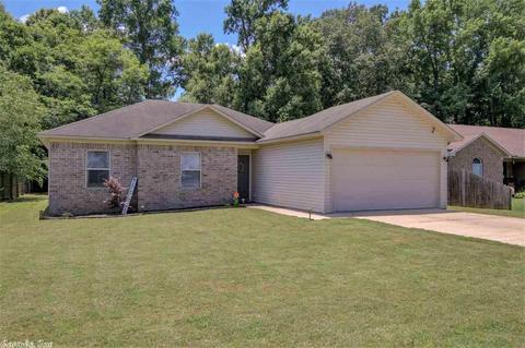23 Shamsie Dr, Ward, AR 72176 photo 3