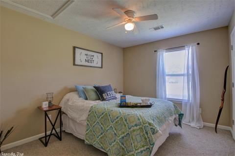 23 Shamsie Dr, Ward, AR 72176 photo 20