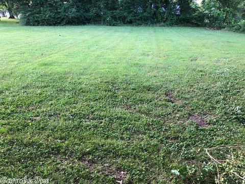 110 E Cherry St, Delight, AR 71940 photo 4