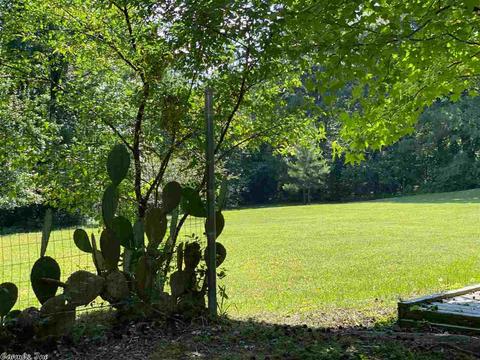 100 Chris, Amity, AR 71921 photo 4