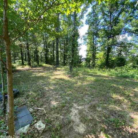 100 Chris, Amity, AR 71921 photo 5
