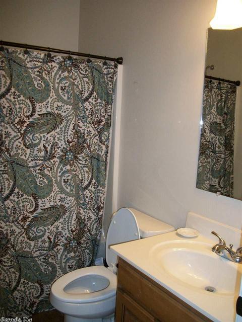 4105 Lonesome Oak Loop, Hensley, AR 72065 photo 20