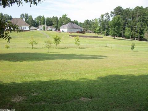 4105 Lonesome Oak Loop, Hensley, AR 72065 photo 33
