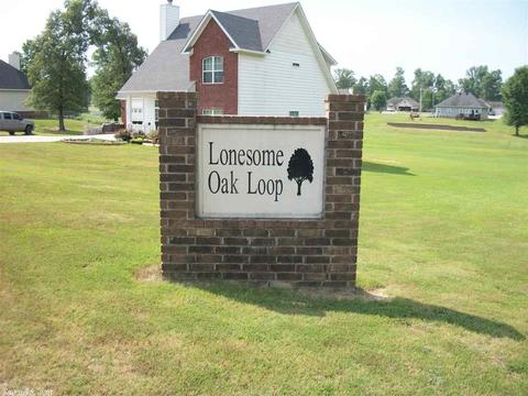 4105 Lonesome Oak Loop, Hensley, AR 72065 photo 37