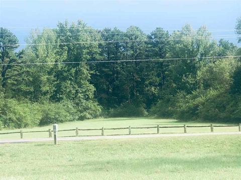 2015 E Hwy 330, Clinton, AR 72031 photo 18