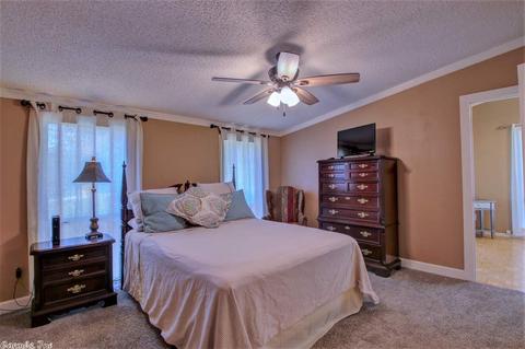 16501 Slade Rd, Paron, AR 72122 photo 23