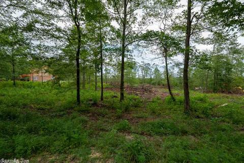4 Wells Rd, Amity, AR 71921 photo 32