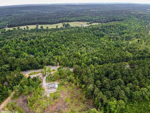 4 Wells Rd, Amity, AR 71921 photo 24